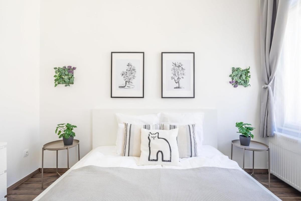 Fresh Cosy Style - Central Location Budapest Esterno foto